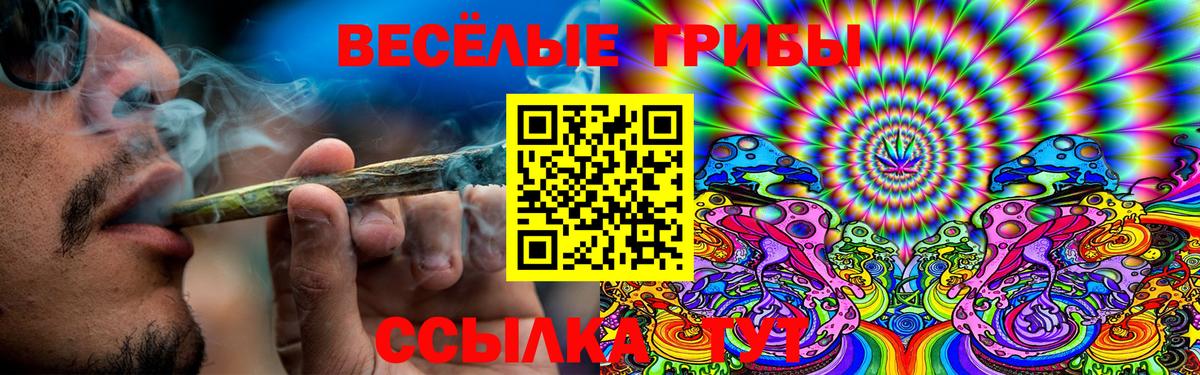 Кольчугино  дарнет шоп  Вход с VPN  Псилоцибиновые грибы Psilocybine cubensis 